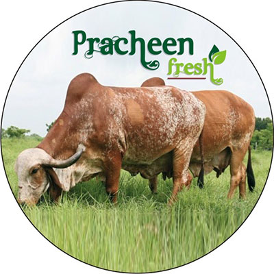 about pracheen fresh